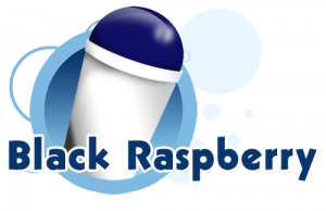 Raspberry (Black)